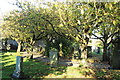 Craigie Symington Parish Church Graveyard in KA1 5SB