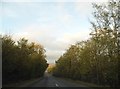 Newport Road approaching Saffron Walden in CB11 4DN
