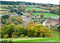 Autumnal trees at edge of Howdenburn Glen in TD8 6NS
