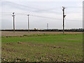 Teversham: wires, poles and a pylon in CB1 9AJ