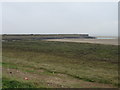 Marsh near Pembrey Harbour in SA16 0HN