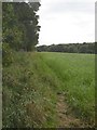Footpath off Gawthorpe Green Lane, Lepton in HD8 0NJ
