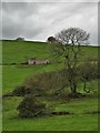 View to a farm ruin near Carsington in Carsington