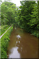 View east along the Monmouthshire and Brecon Canal at bridge 125, Llangynidr in NP8 1RH