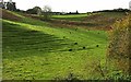 Terracettes and strip lynchets, Innsacre in DT6 4LJ