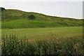 Fields near Parishholm Hill in ML11 0SJ