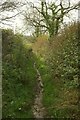Path from Milvers Lane in DT6 4BX
