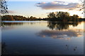 Grebe Lake and its island in MK43 7AP