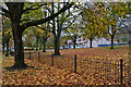 Autumn leaves beside Kennet Road in SP9 7PF