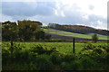 View over fields south of Urchfont in SN10 4RQ