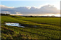Waterlogged field beside the A46 in SN14 8ES