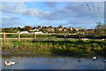 Houses at Bibstone seen across the pond at Townwell in Townwell