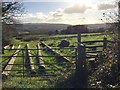 Stile, gate and telegraph poles in SA4 4HE