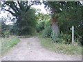 Footpath to Likely Wood in NR34 8DJ