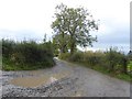 Puddles on the track to Sytche in SY5 7LW