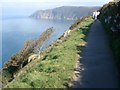 Coast path near Lynton in EX35 6HG