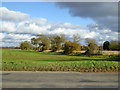 Farmland east of Sutton Road in Dunton