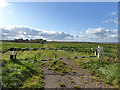 Gated farm track in SG18 8RJ