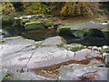 Northumberland Landscape : Carved Rocks Near Thrum Mill, Rothbury in NE65 7RZ