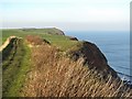 Cleveland Way along the cliff top in YO22 4LH