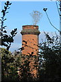 The former cement works chimney in CH8 7RQ