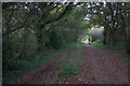 Woodland near the end of the Hayling Billy path in PO11 0QT