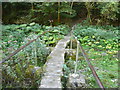 Footbridge over River Lathkill in DE45 1HT