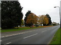 Autumn colours on Burwell Road in Exning
