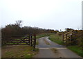 Cattle grid on the eastern edge of Tregonetha Downs in PL30 5PF