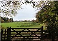 Gateway at the woods edge in NE39 1NW