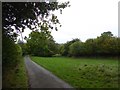 Track and narrow field near Lodore Farm in HR7 4LD