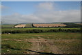 View from Tatton Farm Dorset in DT3 4BX