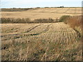 Stubble fields at Kingseat in KY12 0TT