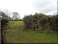 Stile and field gate on Goomshill Farm in WR7 4LJ
