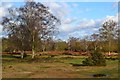 New Forest landscape beside Furzley Road in SO43 7JH