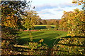 Fields and woodland north of the M27 in SO40 2RX