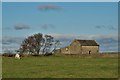 Field barn near Mouldridge Grange in Derbyshire Dales District