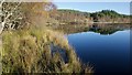 Loch na Crann, Contin Forest in IV14 9ES