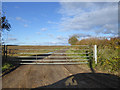 Gated farm track in Staploe