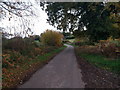 Looking down the lane to Blackheath Farm in EX6 8TD