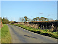 Road towards Coppingford in Upton and Coppingford