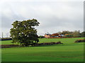Tree and Lench Farm, Knighton Lane, Inkberrow in WR7 4HX
