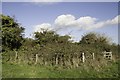 Overgrown remains of St Mary's Church, East Stoke in BH20 6AS