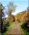 Path towards the Skirrid, Monmouthshire in Llantilio Pertholey Community