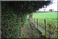 Path to Upper Oddington in GL56 0XJ