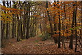 Path through Great Oaks, Oxshott in KT10 0LQ