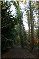 Path to Copsem Lane, Esher Common in KT10 9EG