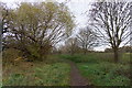 Molesey Heath Nature Reserve in KT8 2LX