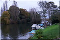 River Thames at Platt's Eyot, Molesey in KT8 1QF