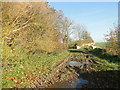 Footpath with a muddy starting point in PE33 9FL